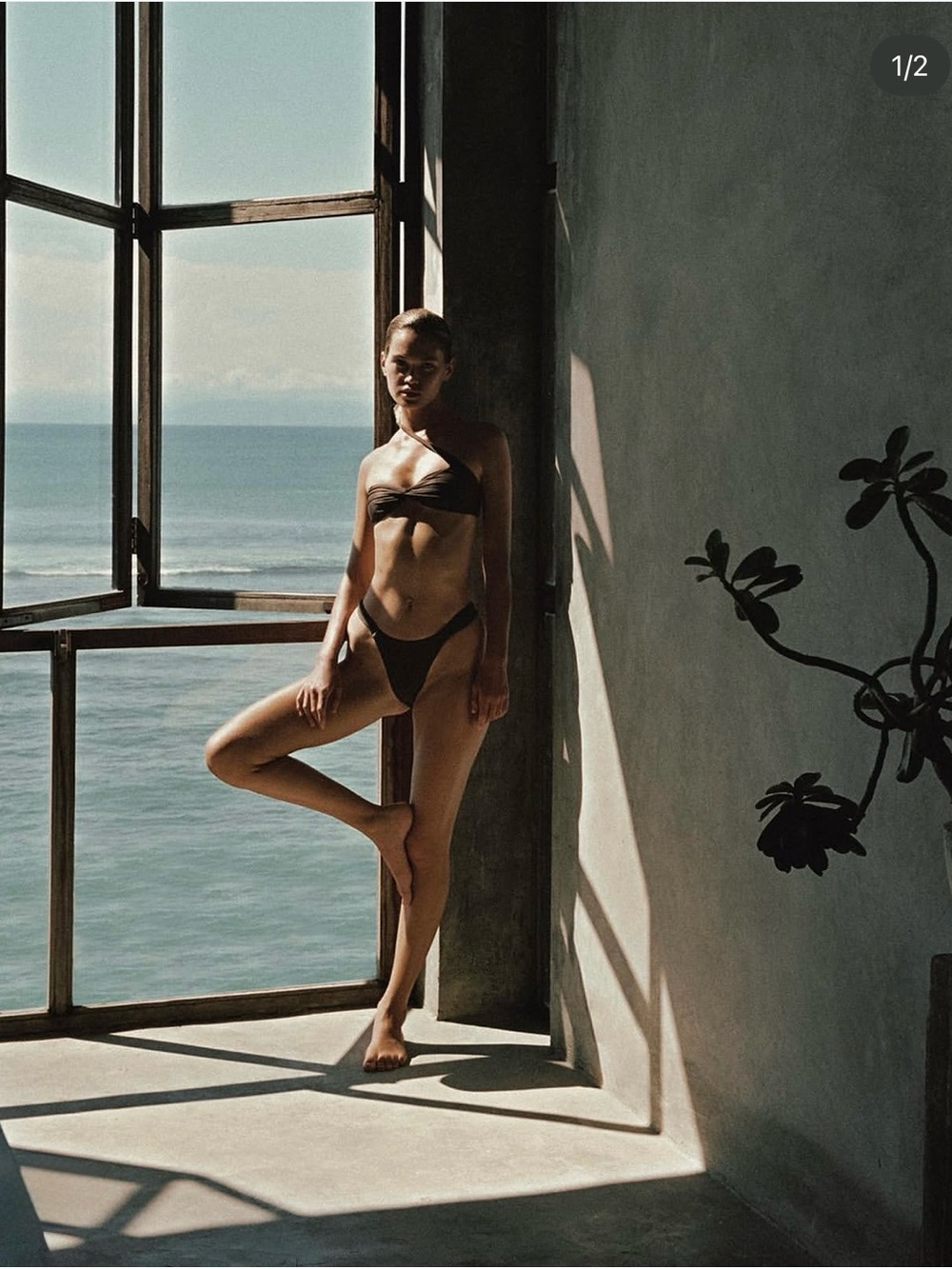 Léa the Label Palm Asymmetric Bikini Set Brown S